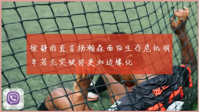 徐静雨直言杨瀚森面临生存危机明年若无突破将更加边缘化