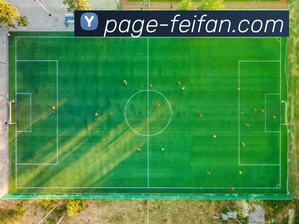 非凡娱乐平台生态图